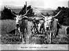 saturnia: la storia saturnia: la storia