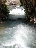 Terme di Saturnia 3 - L'acqua termale - Clicca per ingrandire